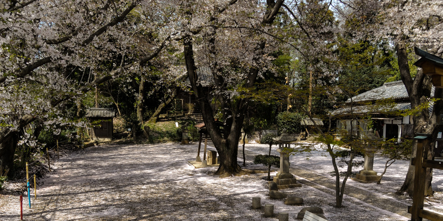 Atago Shrine