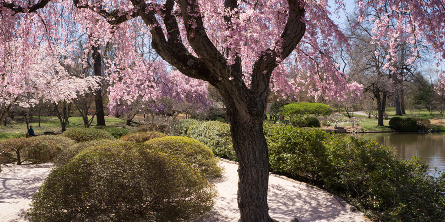 Higashiyama Zoo and Botanical Gardens