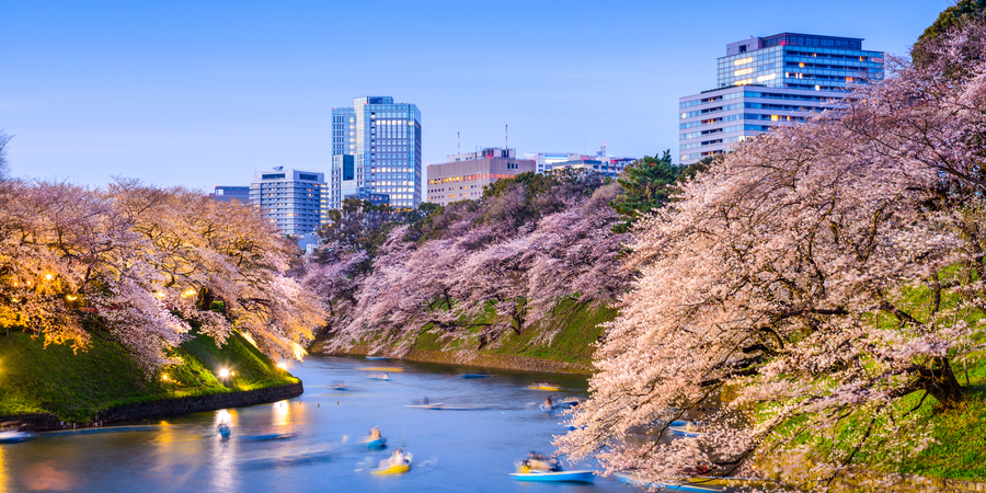 Chidorigafuchi