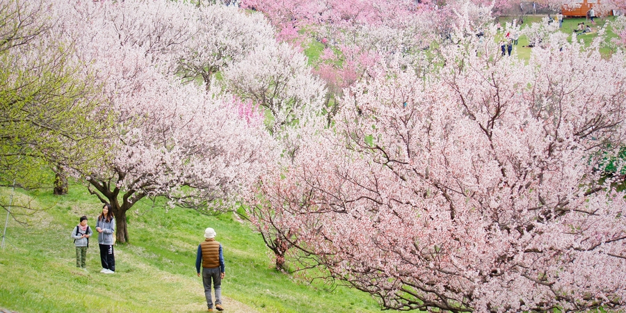 Hiraoka Park