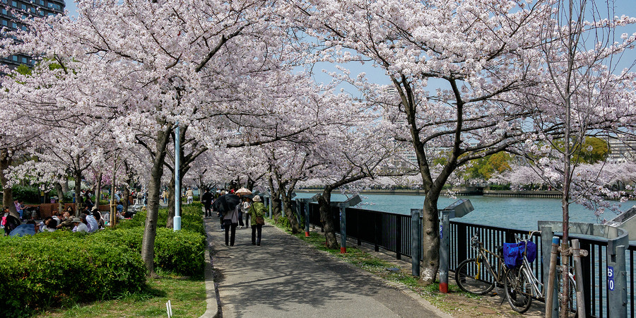 Kema Sakuranomiya Park