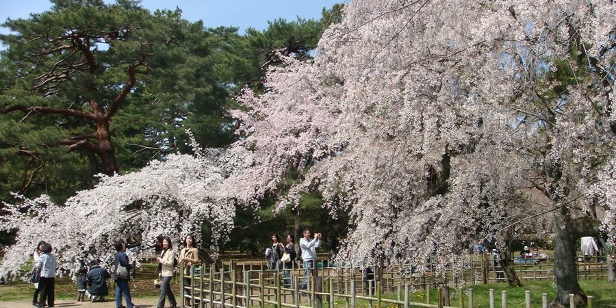 Kyoto Imperial Palace Park