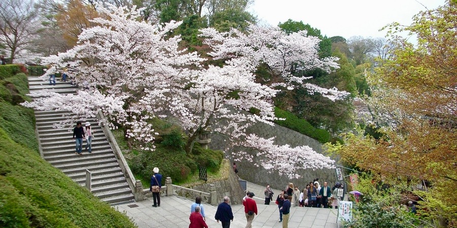 Maruyama Park