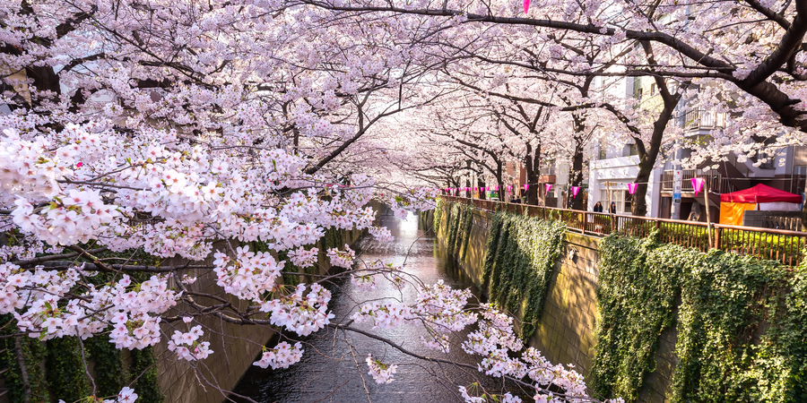 Meguro River