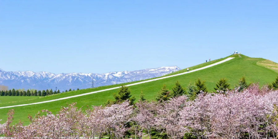 Moerenuma Park