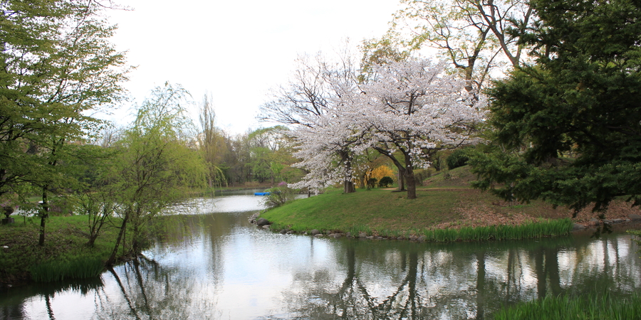 Nakajima Park