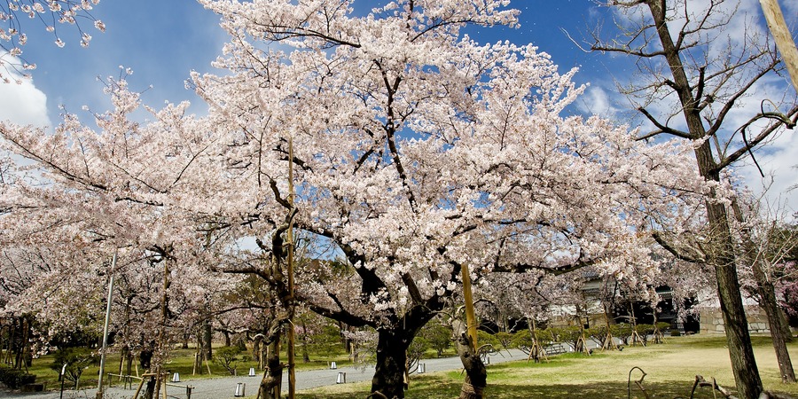 Nijo Castle