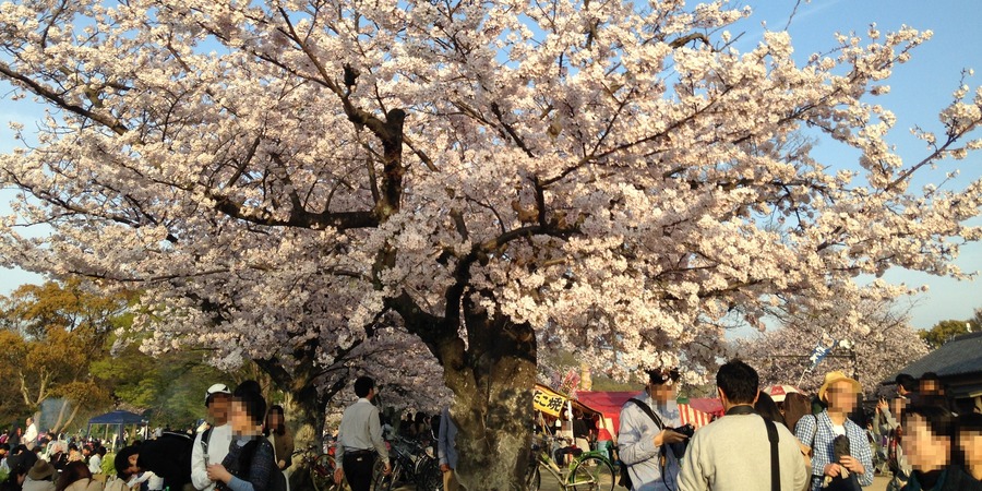 Ohori Park