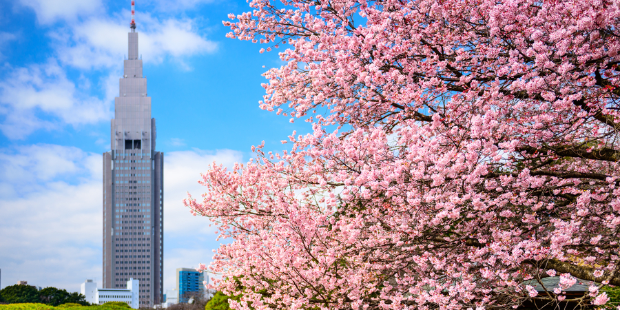 Shinjuku Gyoen