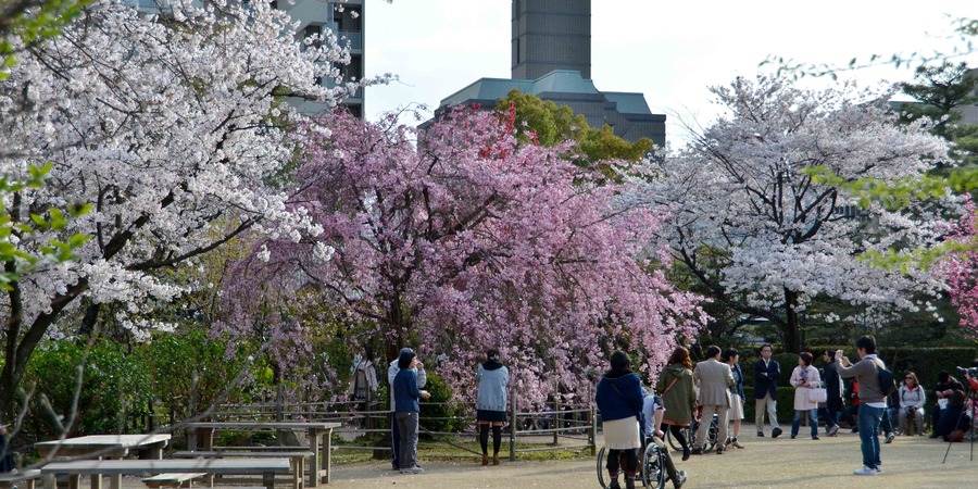 Shukkeien Garden