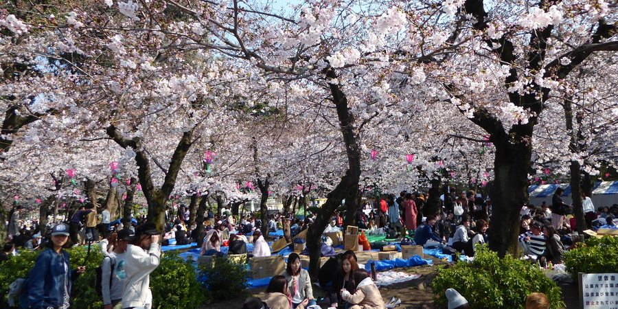 Tsuruma Park