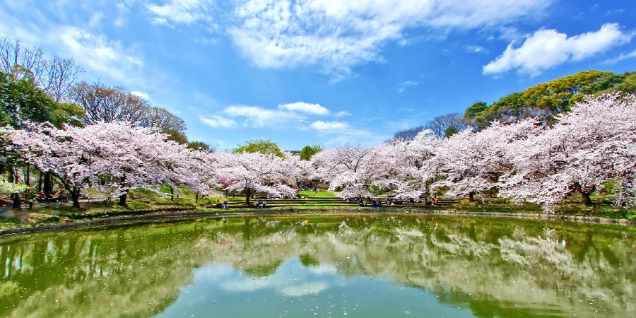 Tsurumi Ryokuchi Park