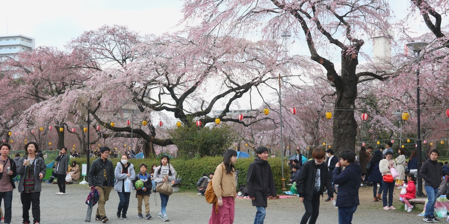 Tsutsujigaoka Park