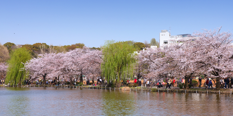 Ueno Park