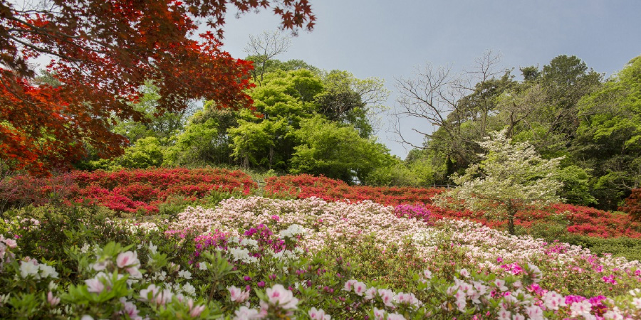 Utatsuyama Park