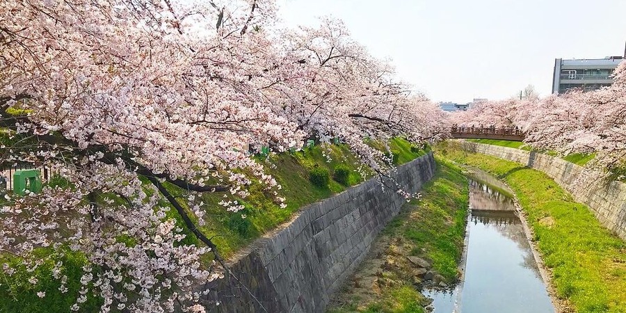 Yamazaki River