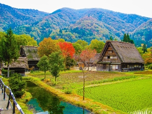 Shirakawago