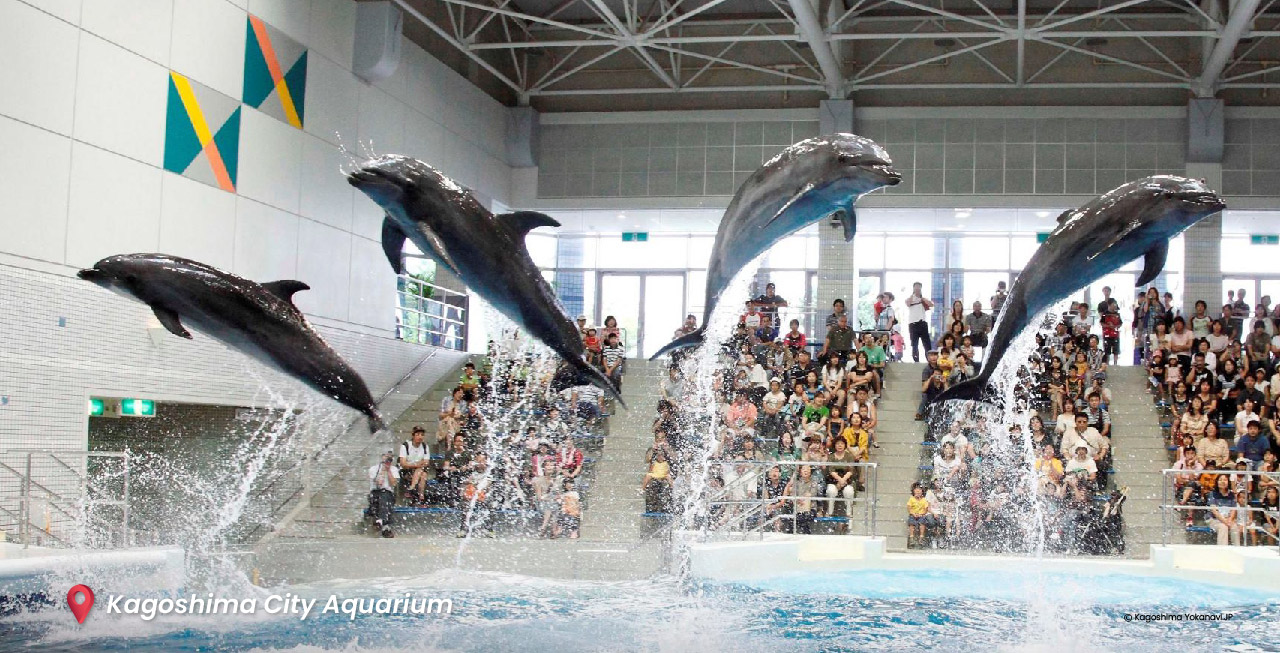 Kagoshima-City-Aquarium