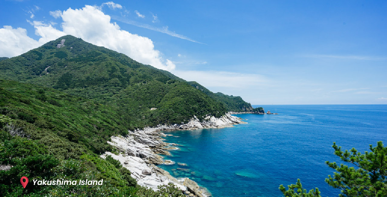 Yakushima-Island