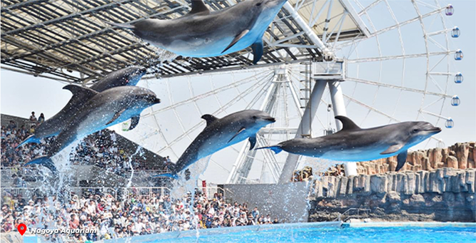 Nagoya-Aquarium