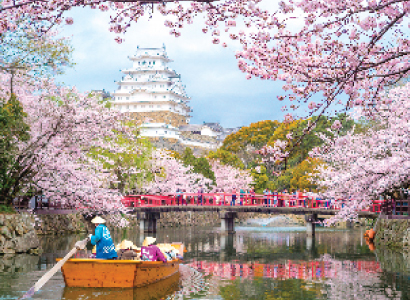 sakura