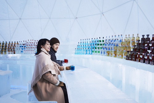 【Hoshino Resorts TOMAMU】Ice Bar 3