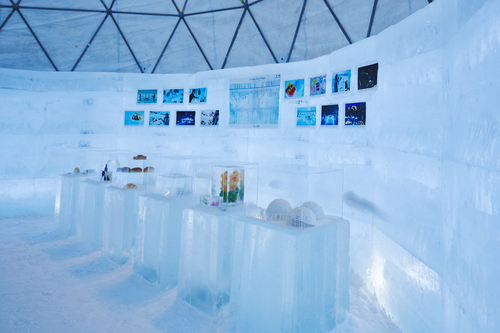 【Hoshino Resorts TOMAMU】Ice Village 25th Anniversary Ice Gallery1