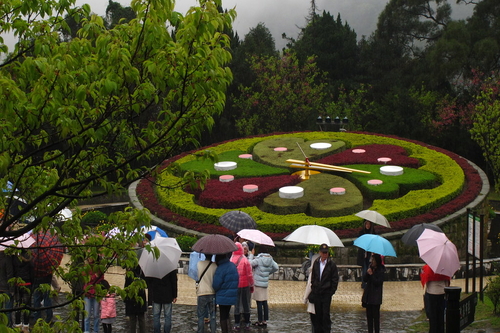 YangmingshanFlowerClock 1