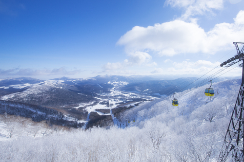 【Hoshino Resorts TOMAMU】Terrace Of Frost Tree5