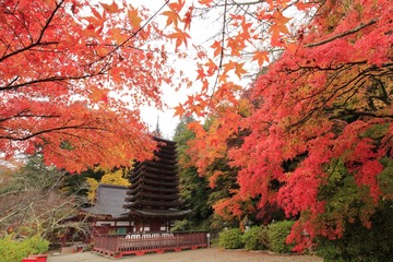 Tanzan Jinja Shrine