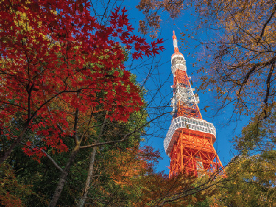 TokyoTowerAutumnIti