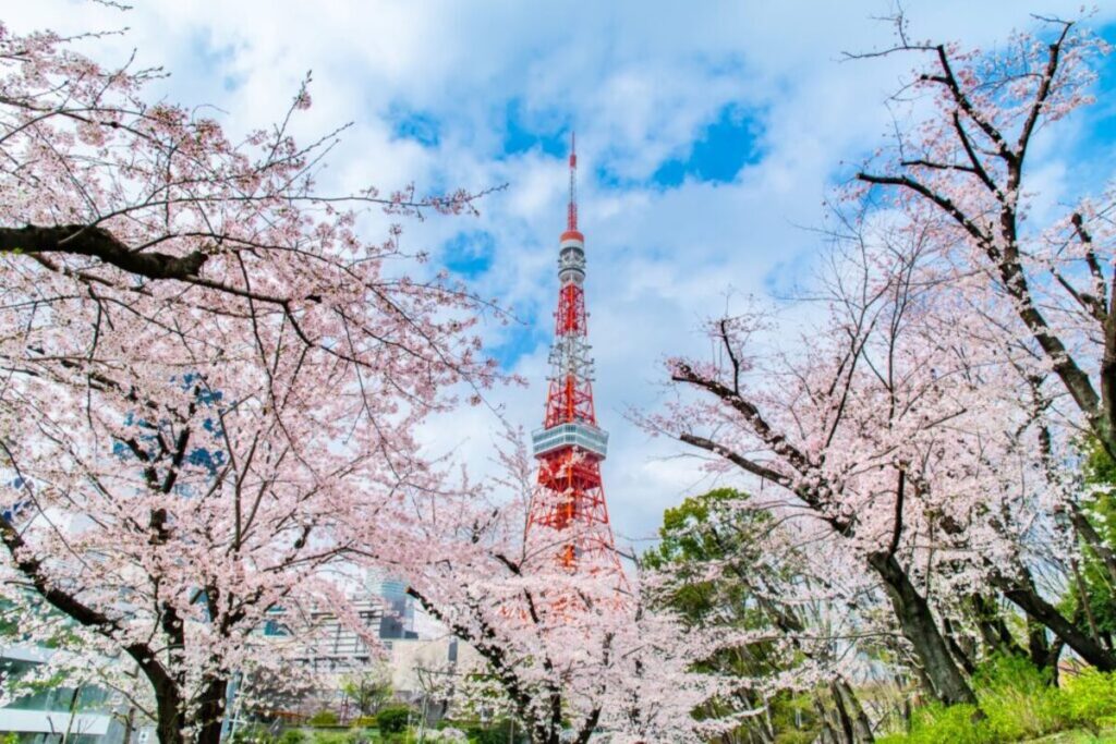 TokyoTowerSakuraIti 1