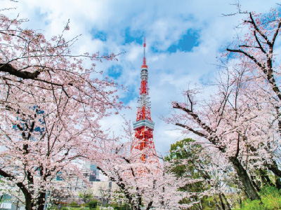 TokyoTowerSakuraIti