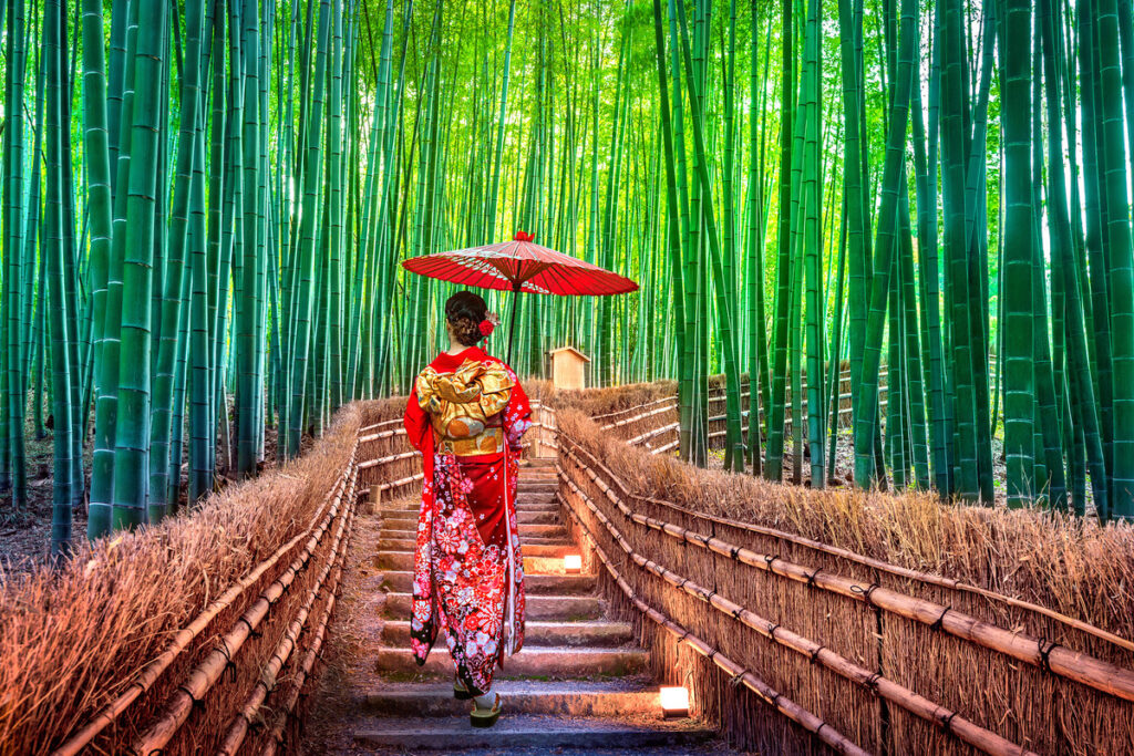 Bamboo Forest Navito Group