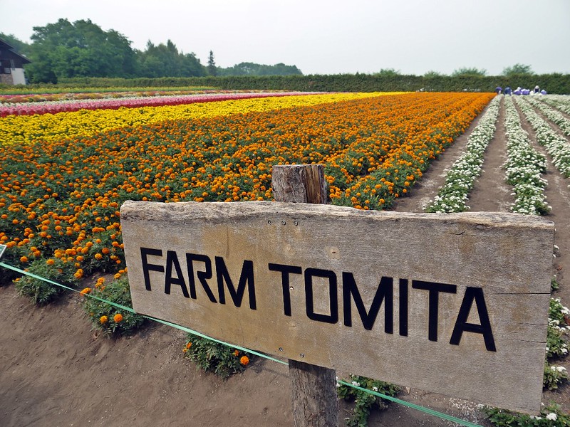 Farm Tomita