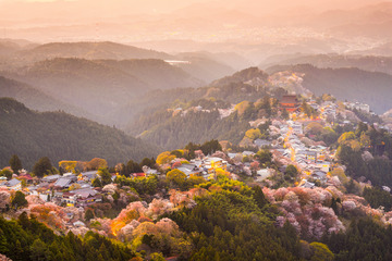 Mount Yoshino Kintetsu2day