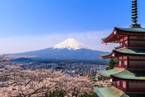 Mt Fuji Sakura