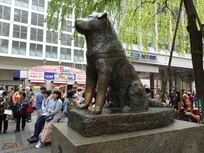 HachikoStatueIti