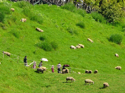 QingjingGrasslandIti