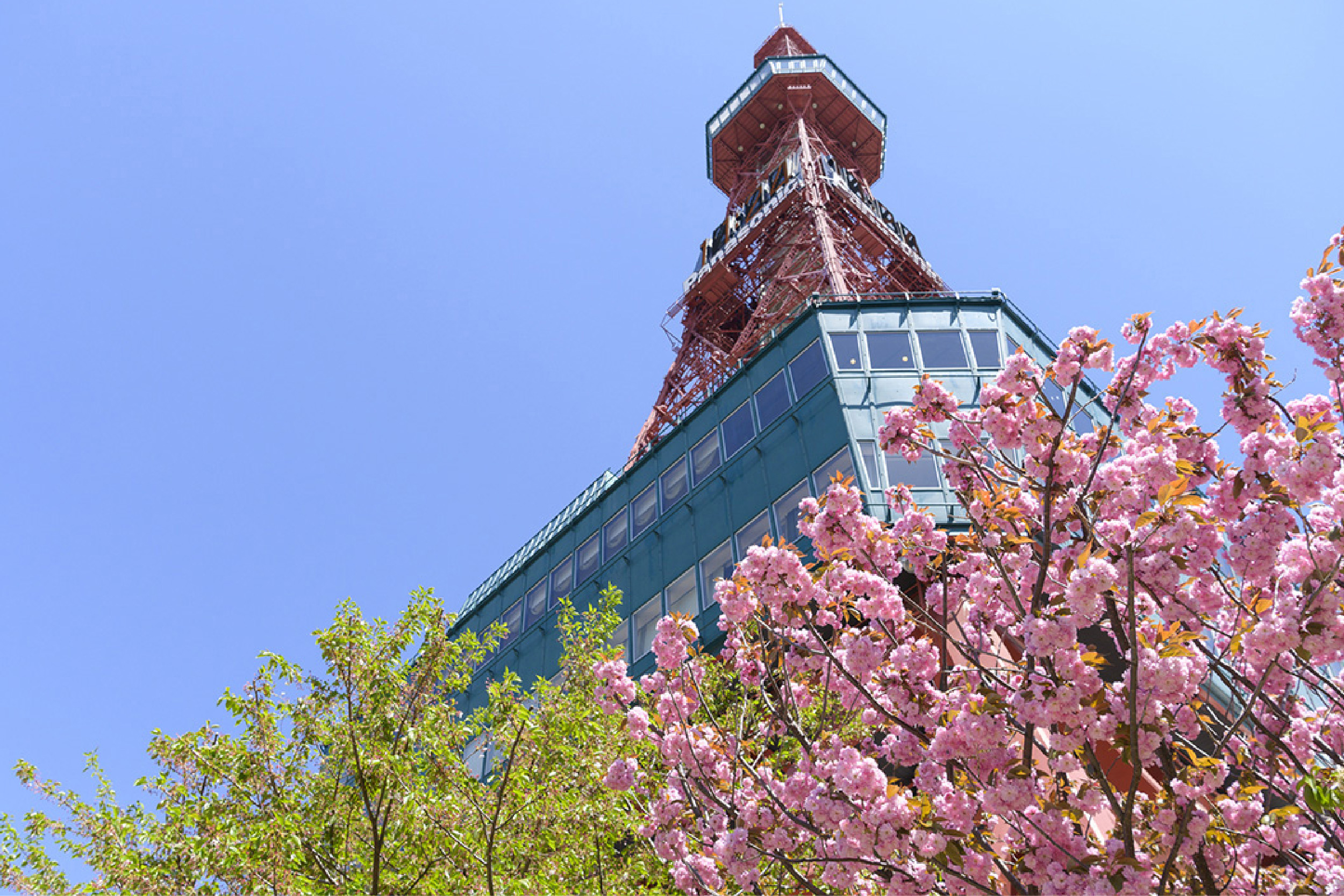 TVTowerSakura1200x800