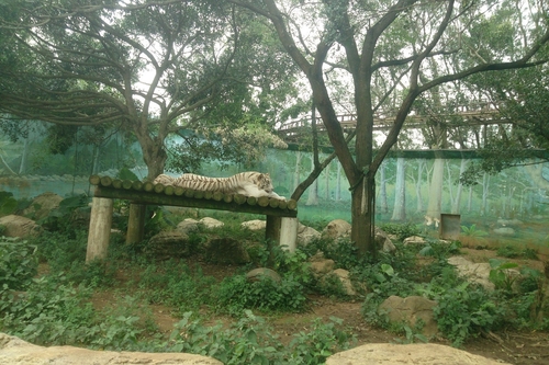 WildlifeParkRev