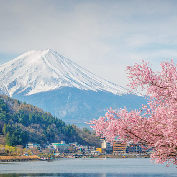 TokyoEarlyApril