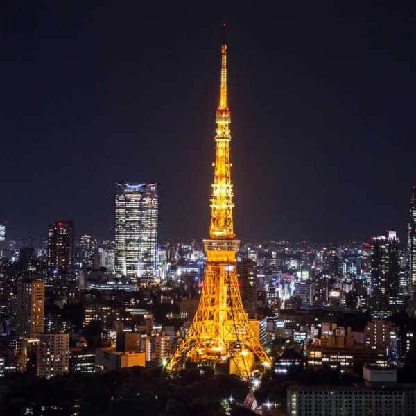 TokyoTowerObservatoryCover