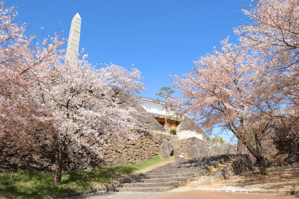 Maizuru Park 2